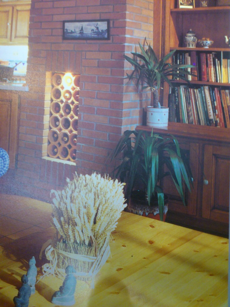 The Ultimate Interior Designer Book Fat Lava Plant Pot Red