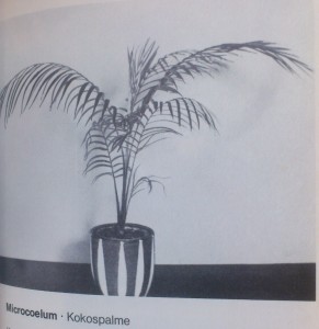 West German 1950s Plant Pot Ruscha Original Picture Palm Plant