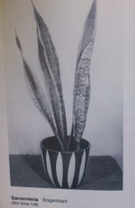 West German 1950s Plant Pot Ruscha Original Picture