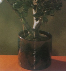 Marei Fat Lava Plant Pot Original Photo Close Up