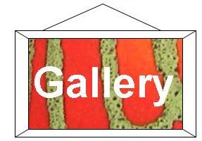 D & B Buttons - Gallery