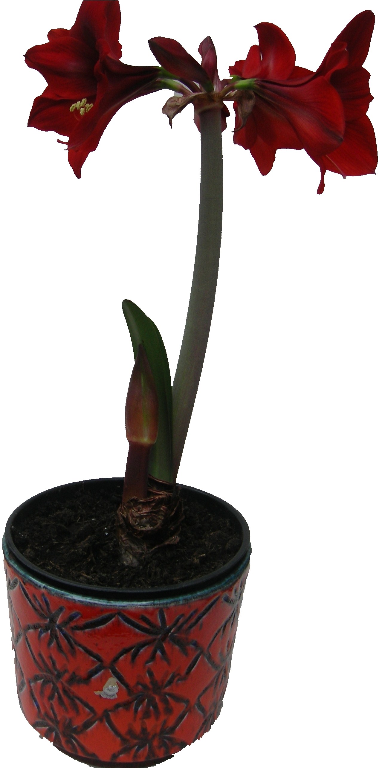 Amaryllis West German Plant Pot ES Fat Lava
