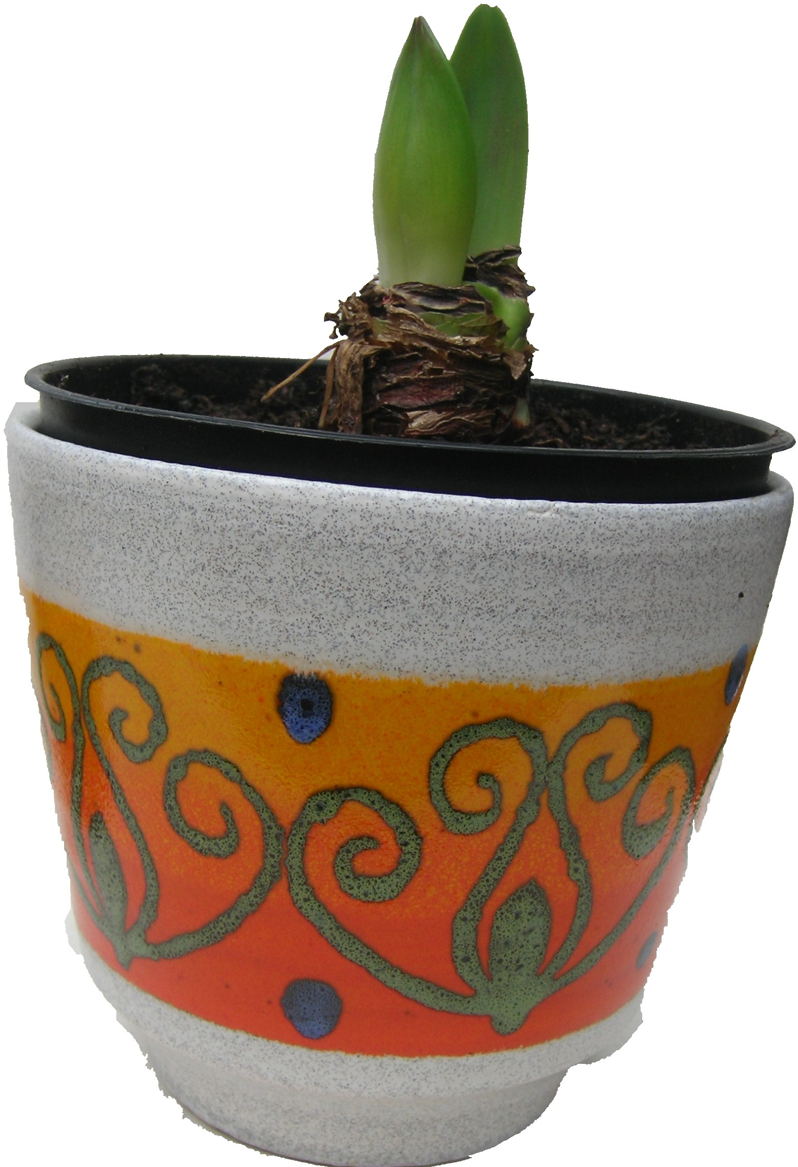 Amaryllis West German Plant Pot D & B Fat Lava