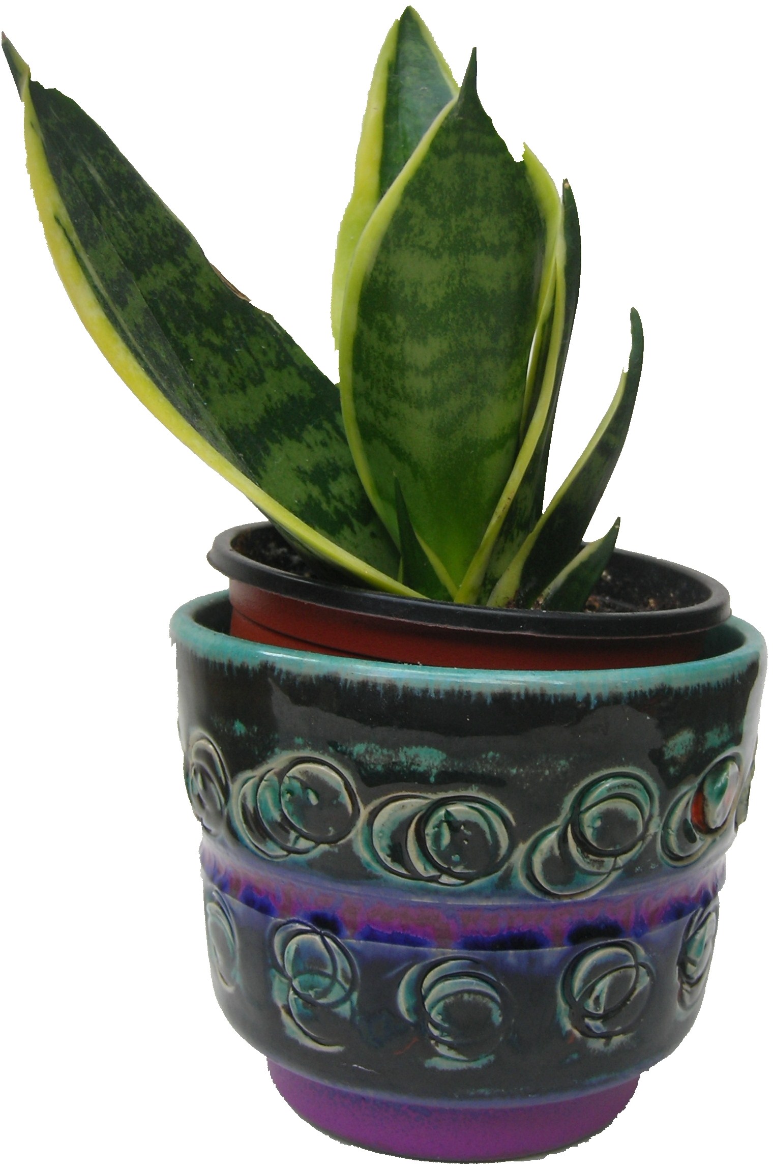 Cacti West German Plant Pot Fat Lava