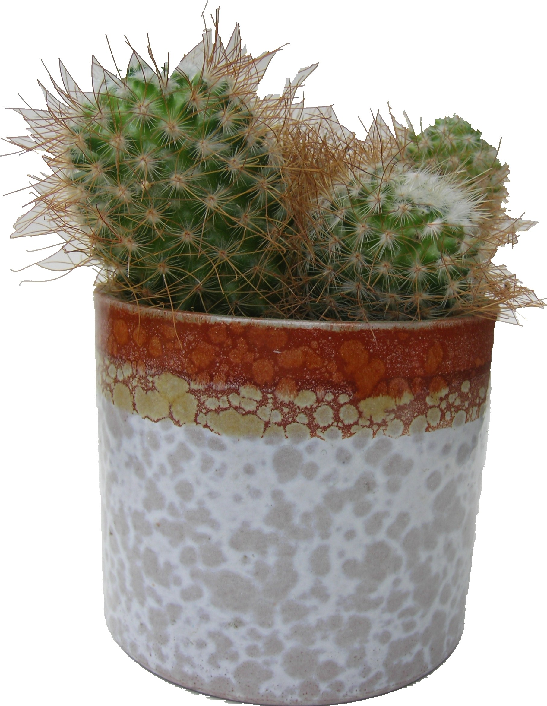 Cacti West German Plant Pot Roth Fat Lava