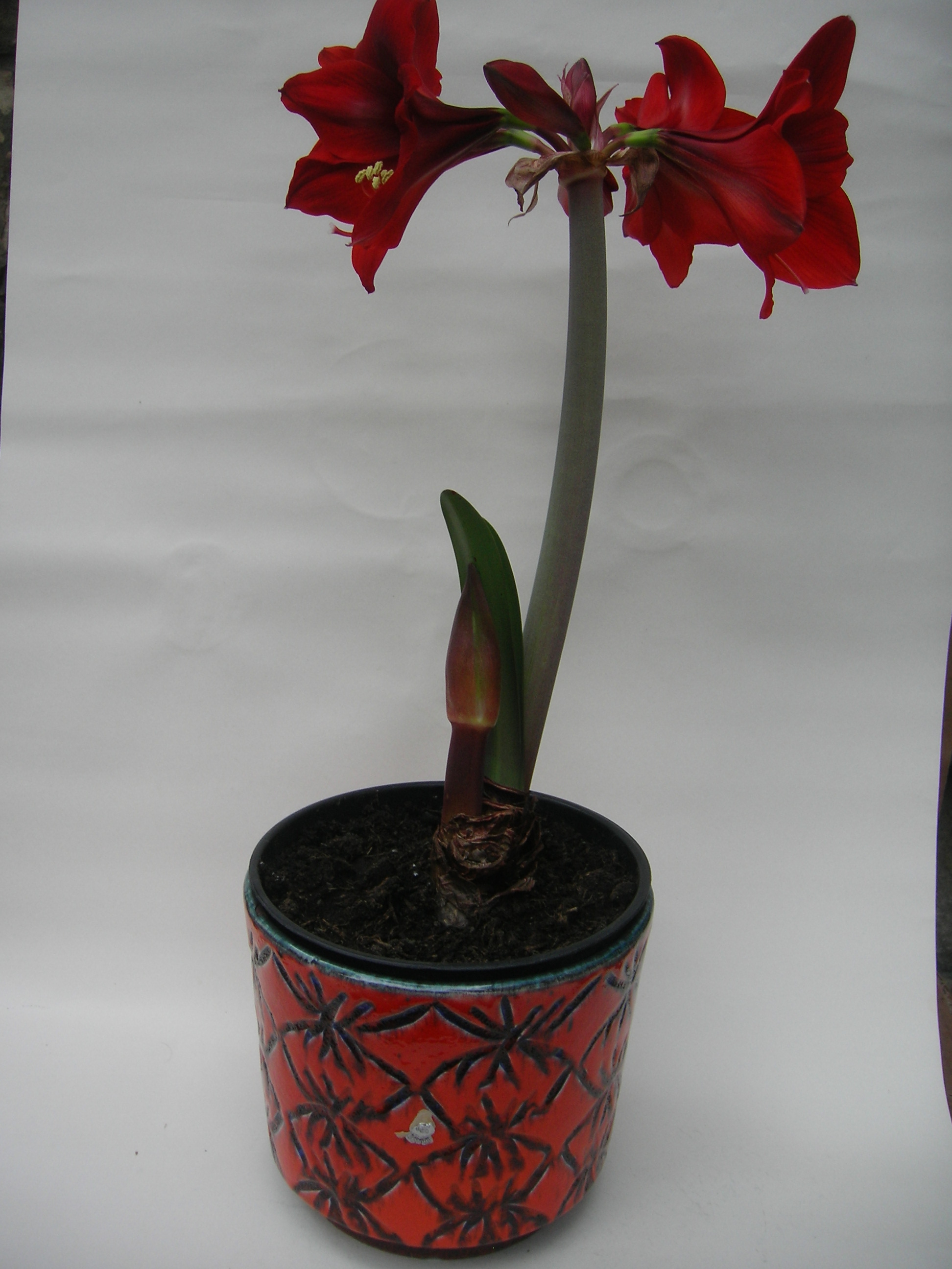 ES Plant Pot West German Amaryllis Pottery Vintage