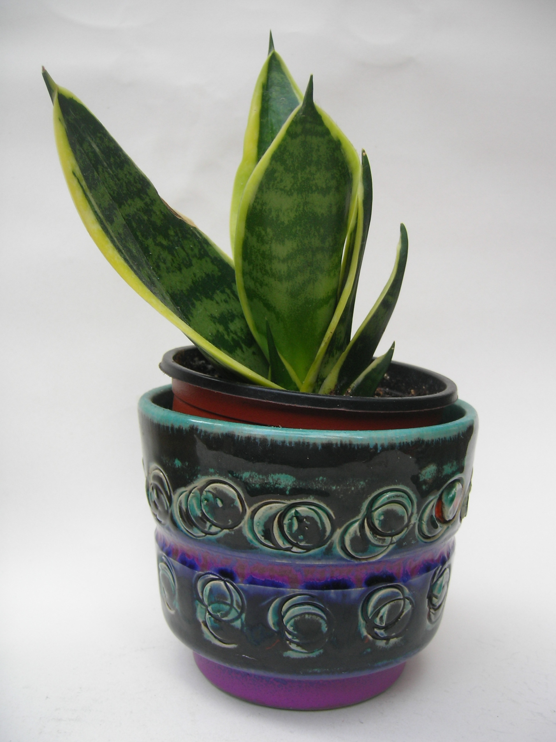 Spara Keramik Plant Pot West German Cacti
