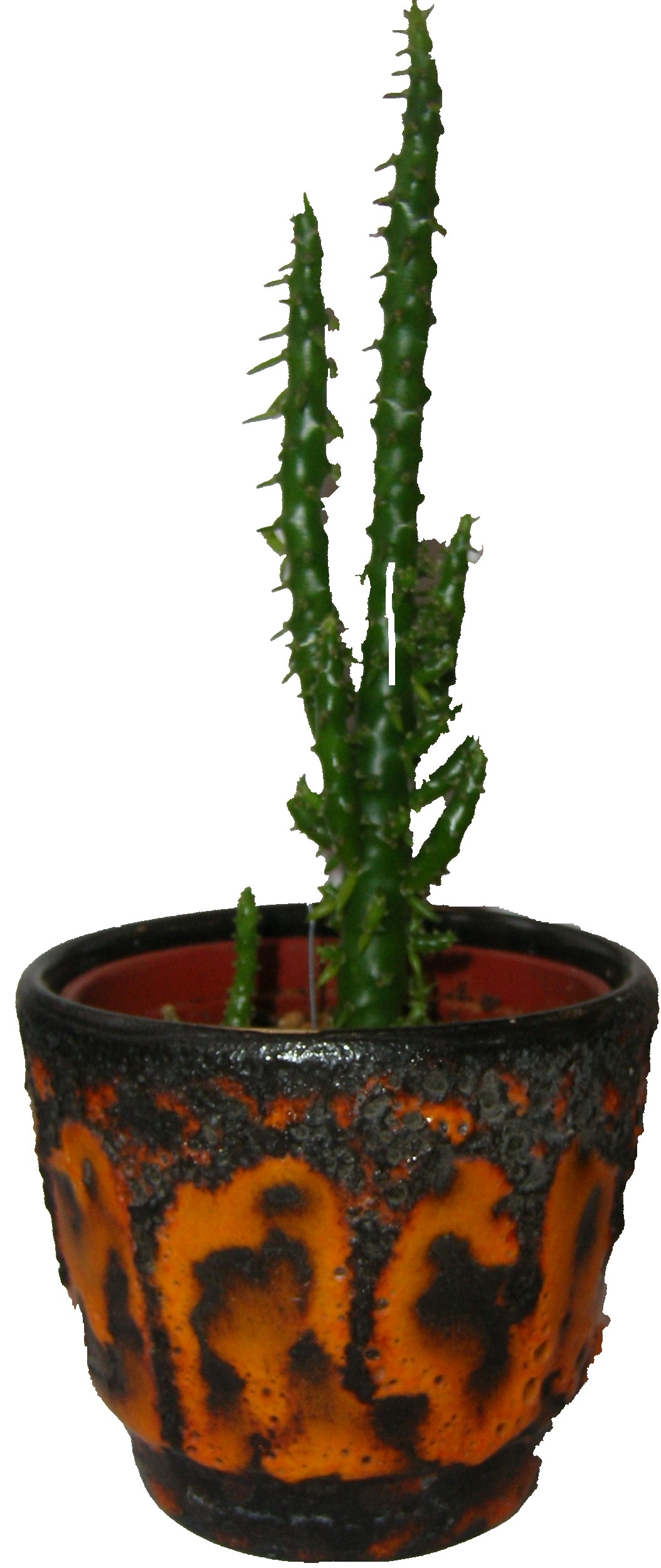 Orange Fat Lava Plant Pot with Cactus